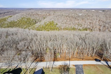 Ready for a new year where all the choices are truly yours?! on Kimberling City Golf Club in Missouri - for sale on GolfHomes.com, golf home, golf lot