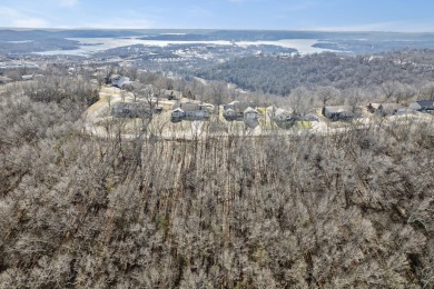 Ready for a new year where all the choices are truly yours?! on Kimberling City Golf Club in Missouri - for sale on GolfHomes.com, golf home, golf lot