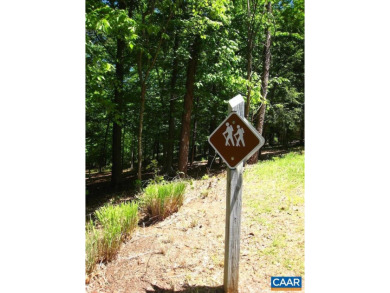 Nearly new with views! Rare opportunity to have easy, one-level on Wintergreen Golf Course and Resort in Virginia - for sale on GolfHomes.com, golf home, golf lot