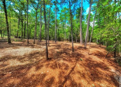 WATERVIEW! Beautiful 1/2 acre lot in Rayburn Country! Property on Rayburn Country Club in Texas - for sale on GolfHomes.com, golf home, golf lot