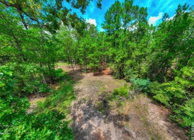 WATERVIEW! Beautiful 1/2 acre lot in Rayburn Country! Property on Rayburn Country Club in Texas - for sale on GolfHomes.com, golf home, golf lot