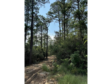 Great lot in the heart of Rayburn Country to build your dream on Rayburn Country Club in Texas - for sale on GolfHomes.com, golf home, golf lot