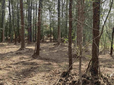 Recently cleaned and mulched, this nice, level lot is just 1/2 on Rayburn Country Club in Texas - for sale on GolfHomes.com, golf home, golf lot