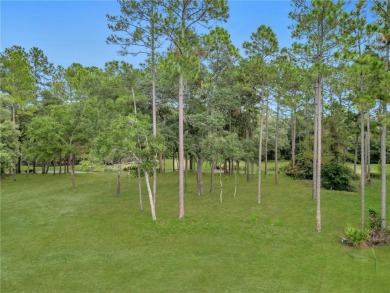 JUST IN TIME FOR SUMMER....0.47 OF AN ACRE IS WAITING FOR YOU TO on Sapelo Hammock Golf Club in Georgia - for sale on GolfHomes.com, golf home, golf lot