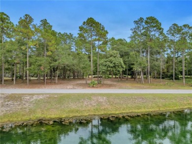 JUST IN TIME FOR CHRISTMAS....0.46 OF AN ACRE IS WAITING FOR YOU on Sapelo Hammock Golf Club in Georgia - for sale on GolfHomes.com, golf home, golf lot