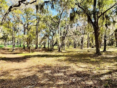 A beautiful open lot with spectacular golf course views. This on Haig Point Golf Club in South Carolina - for sale on GolfHomes.com, golf home, golf lot