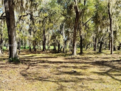 A beautiful open lot with spectacular golf course views. This on Haig Point Golf Club in South Carolina - for sale on GolfHomes.com, golf home, golf lot
