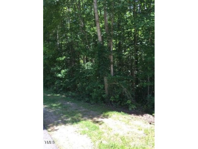 NICE BUILDABLE LOT IN LAKE ROYALE!!! ALMOST HALF- ACRE! Build on River Golf and County Club at Lake Royale in North Carolina - for sale on GolfHomes.com, golf home, golf lot
