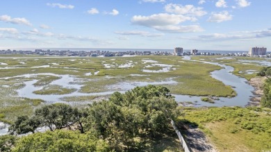 Tantalizing Tidewater Marsh front lot on Williams Creek.  This on Tidewater Golf Club and Plantation in South Carolina - for sale on GolfHomes.com, golf home, golf lot