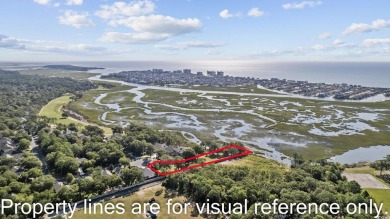 Tantalizing Tidewater Marsh front lot on Williams Creek.  This on Tidewater Golf Club and Plantation in South Carolina - for sale on GolfHomes.com, golf home, golf lot