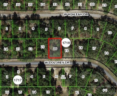 Buildable homesite in Citrus Springs offering an outstanding on Citrus Springs Country Club in Florida - for sale on GolfHomes.com, golf home, golf lot