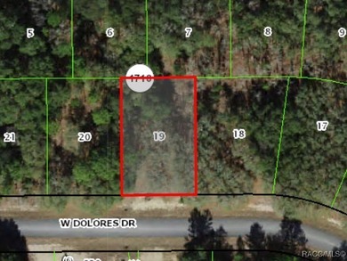 Buildable homesite in Citrus Springs offering an outstanding on Citrus Springs Country Club in Florida - for sale on GolfHomes.com, golf home, golf lot
