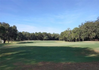 Build your Beautiful Custom Home on this stunning lot nestled on Okefenokee Country Club in Georgia - for sale on GolfHomes.com, golf home, golf lot