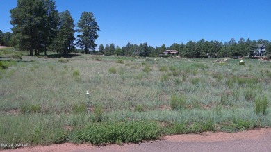 0.28ac lot in the beautiful mountains of Heber-Overgaard. With on Pine Meadows Country Club in Arizona - for sale on GolfHomes.com, golf home, golf lot