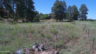 0.28ac lot in the beautiful mountains of Heber-Overgaard. With on Pine Meadows Country Club in Arizona - for sale on GolfHomes.com, golf home, golf lot