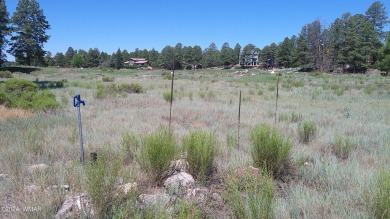 0.28ac lot in the beautiful mountains of Heber-Overgaard. With on Pine Meadows Country Club in Arizona - for sale on GolfHomes.com, golf home, golf lot