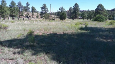 0.28ac lot in the beautiful mountains of Heber-Overgaard. With on Pine Meadows Country Club in Arizona - for sale on GolfHomes.com, golf home, golf lot