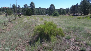 0.28ac lot in the beautiful mountains of Heber-Overgaard. With on Pine Meadows Country Club in Arizona - for sale on GolfHomes.com, golf home, golf lot