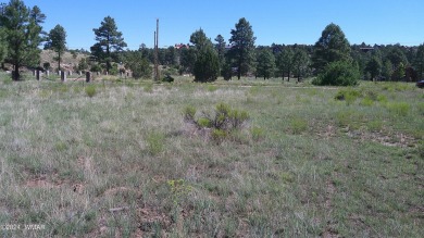 0.28ac lot in the beautiful mountains of Heber-Overgaard. With on Pine Meadows Country Club in Arizona - for sale on GolfHomes.com, golf home, golf lot