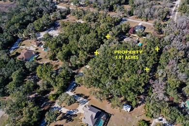 If you're dreaming of creating something truly special, this on Inverness Golf and Country Club in Florida - for sale on GolfHomes.com, golf home, golf lot