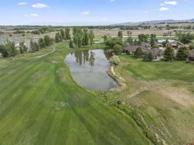 Beckie Pendergrass, Keller Williams Realty Southwest Associates on Links At Cobble Creek in Colorado - for sale on GolfHomes.com, golf home, golf lot