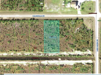 Under contract-accepting backup offers. Build Your Dream Home in on Indian Lake Estates Golf and Country Club in Florida - for sale on GolfHomes.com, golf home, golf lot