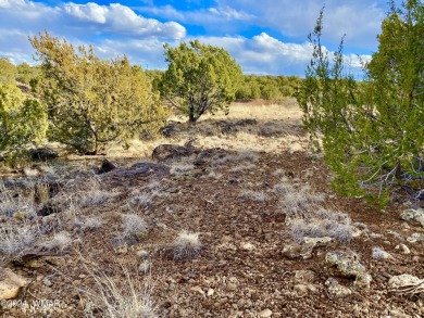 Amazing property sitting directly on White Mountain Lake with on Juniper Ridge R.V. Golf Resort in Arizona - for sale on GolfHomes.com, golf home, golf lot