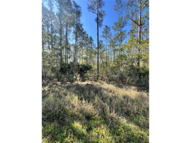 Build Your Dream Home in a Premier Golf Community! Nestled in on Indian Lake Estates Golf and Country Club in Florida - for sale on GolfHomes.com, golf home, golf lot