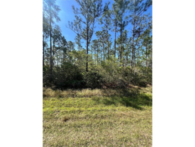 Build Your Dream Home in a Premier Golf Community! Nestled in on Indian Lake Estates Golf and Country Club in Florida - for sale on GolfHomes.com, golf home, golf lot