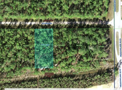 Build Your Dream Home in a Premier Golf Community! Nestled in on Indian Lake Estates Golf and Country Club in Florida - for sale on GolfHomes.com, golf home, golf lot