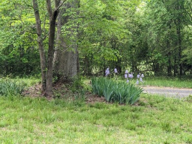 Charming Home in sought-after Tahlequah Ridge Subdivision on Chatuge Shores Golf Course in North Carolina - for sale on GolfHomes.com, golf home, golf lot