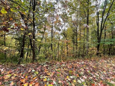 Beautifully wooded Lot located in the upscale community on Chatuge Shores Golf Course in North Carolina - for sale on GolfHomes.com, golf home, golf lot