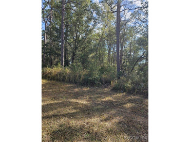 Are you looking to build a home? This beautiful property might on Citrus Springs Country Club in Florida - for sale on GolfHomes.com, golf home, golf lot