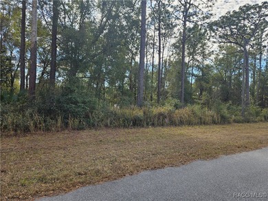 Are you looking to build a home? This beautiful property might on Citrus Springs Country Club in Florida - for sale on GolfHomes.com, golf home, golf lot