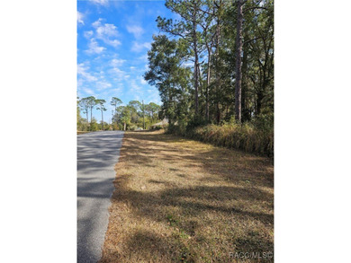 Are you looking to build a home? This beautiful property might on Citrus Springs Country Club in Florida - for sale on GolfHomes.com, golf home, golf lot