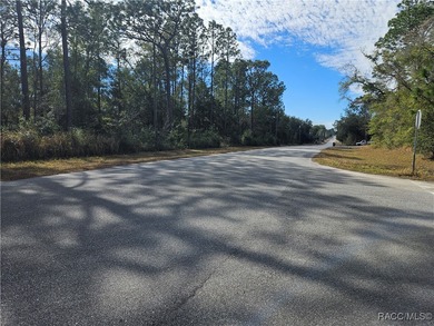 Are you looking to build a home? This beautiful property might on Citrus Springs Country Club in Florida - for sale on GolfHomes.com, golf home, golf lot