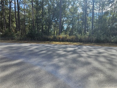 Are you looking to build a home? This beautiful property might on Citrus Springs Country Club in Florida - for sale on GolfHomes.com, golf home, golf lot