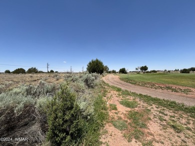 Attention Investors - Zoned RT Residential Transitional this 1 on Snowflake Municipal Golf Course in Arizona - for sale on GolfHomes.com, golf home, golf lot