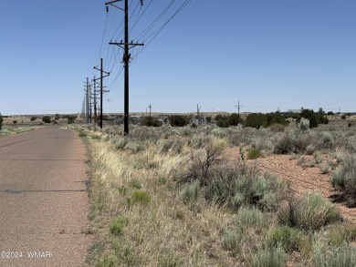 Attention Investors - Zoned RT Residential Transitional this 1 on Snowflake Municipal Golf Course in Arizona - for sale on GolfHomes.com, golf home, golf lot