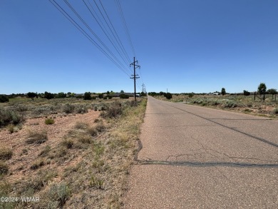 Attention Investors - Zoned RT Residential Transitional this 1 on Snowflake Municipal Golf Course in Arizona - for sale on GolfHomes.com, golf home, golf lot