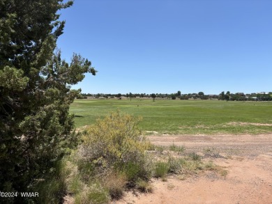 Attention Investors - Zoned RT Residential Transitional this 1 on Snowflake Municipal Golf Course in Arizona - for sale on GolfHomes.com, golf home, golf lot