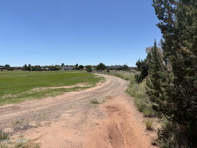 Attention Investors - Zoned RT Residential Transitional this 1 on Snowflake Municipal Golf Course in Arizona - for sale on GolfHomes.com, golf home, golf lot