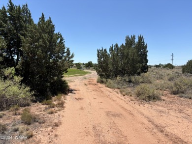 Attention Investors - Zoned RT Residential Transitional this 1 on Snowflake Municipal Golf Course in Arizona - for sale on GolfHomes.com, golf home, golf lot