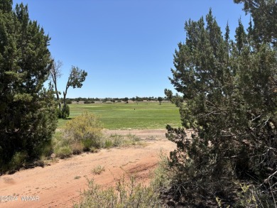 Attention Investors - Zoned RT Residential Transitional this 1 on Snowflake Municipal Golf Course in Arizona - for sale on GolfHomes.com, golf home, golf lot