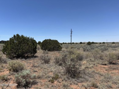 Attention Investors - Zoned RT Residential Transitional this 1 on Snowflake Municipal Golf Course in Arizona - for sale on GolfHomes.com, golf home, golf lot