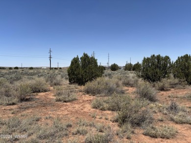 Attention Investors - Zoned RT Residential Transitional this 1 on Snowflake Municipal Golf Course in Arizona - for sale on GolfHomes.com, golf home, golf lot