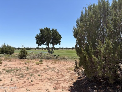 Attention Investors - Zoned RT Residential Transitional this 1 on Snowflake Municipal Golf Course in Arizona - for sale on GolfHomes.com, golf home, golf lot