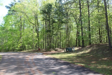 Rare Development Opportunity in StillWaters - 10 Acres | 7 on Stillwaters Golf and Country Club in Alabama - for sale on GolfHomes.com, golf home, golf lot
