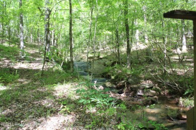 Rare Development Opportunity in StillWaters - 10 Acres | 7 on Stillwaters Golf and Country Club in Alabama - for sale on GolfHomes.com, golf home, golf lot