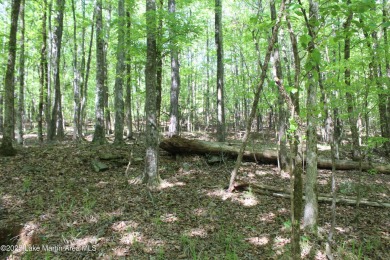 Rare Development Opportunity in StillWaters - 10 Acres | 7 on Stillwaters Golf and Country Club in Alabama - for sale on GolfHomes.com, golf home, golf lot